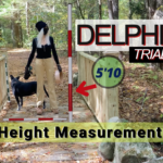 Eve of Trial Prediction: Liberty German will Solve Her Own Murder with Help from Photogrammetry – Delphi Trial