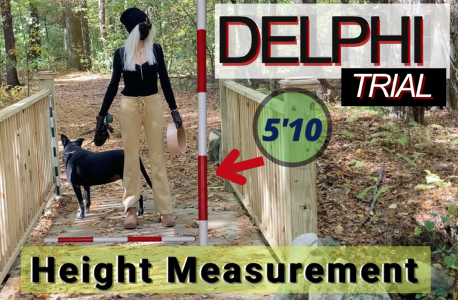 Delphi Trial: Bridge guy video height recorded by liberty german delphi murders